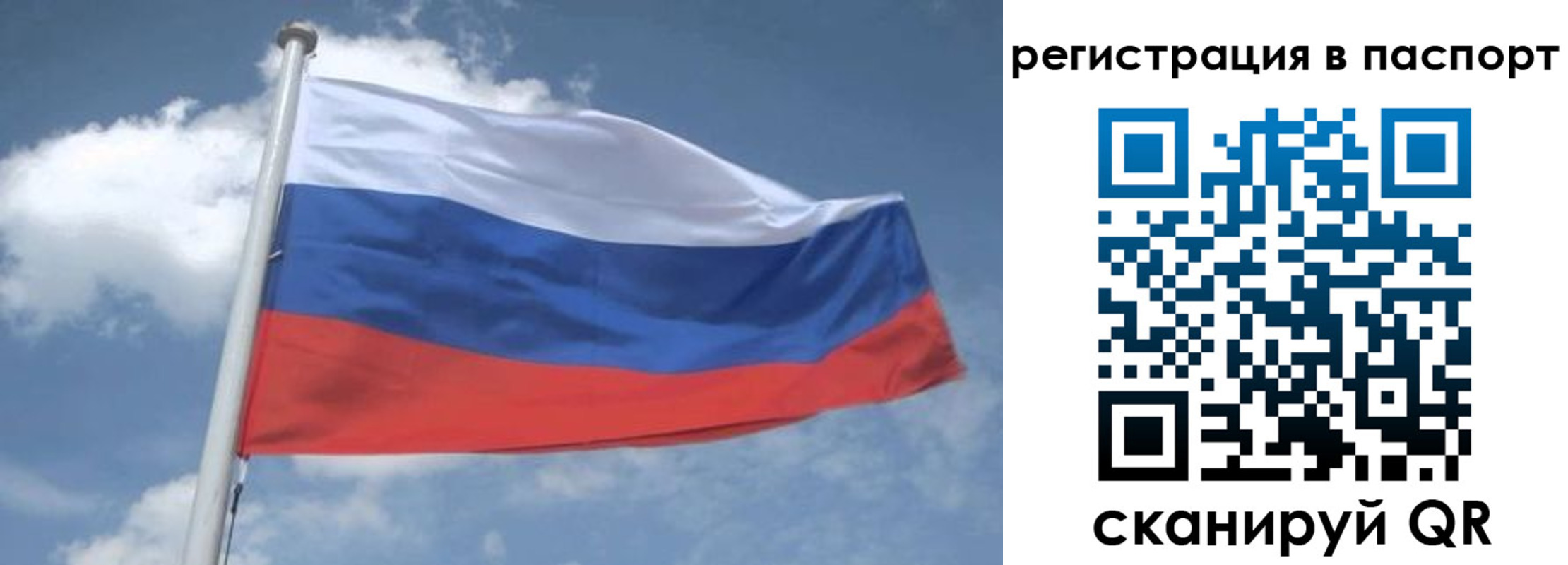 временная регистрация надежно в Истре